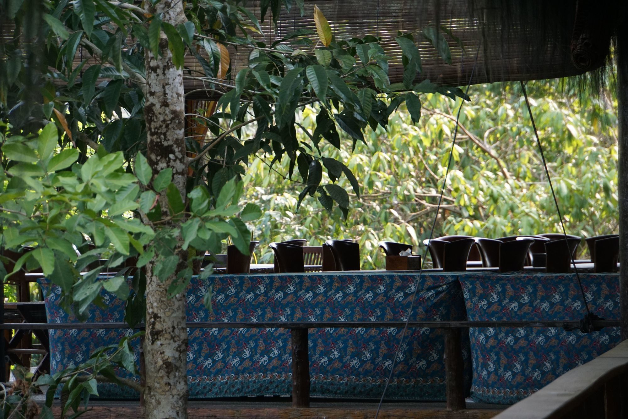 Samboja Lodge Баликпапан Экстерьер фото
