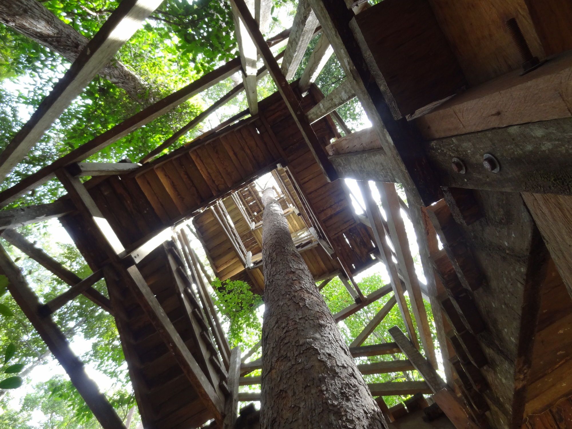 Samboja Lodge Баликпапан Экстерьер фото